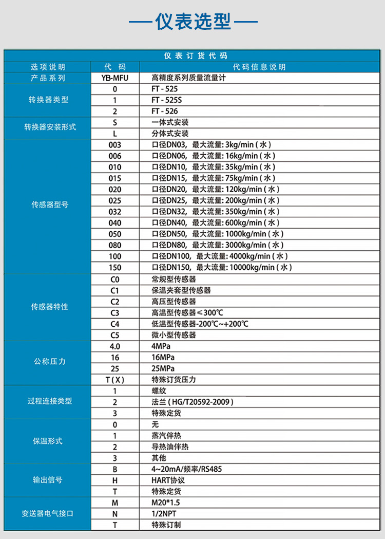 液氨質量流量計選項表